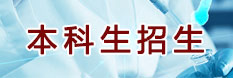 本科生招生